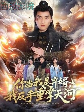 你当我是弃婿，我反手重掌天河