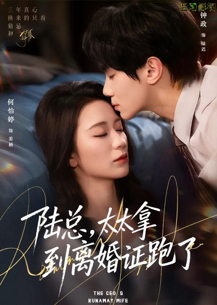 陆总，太太拿到离婚证跑了
