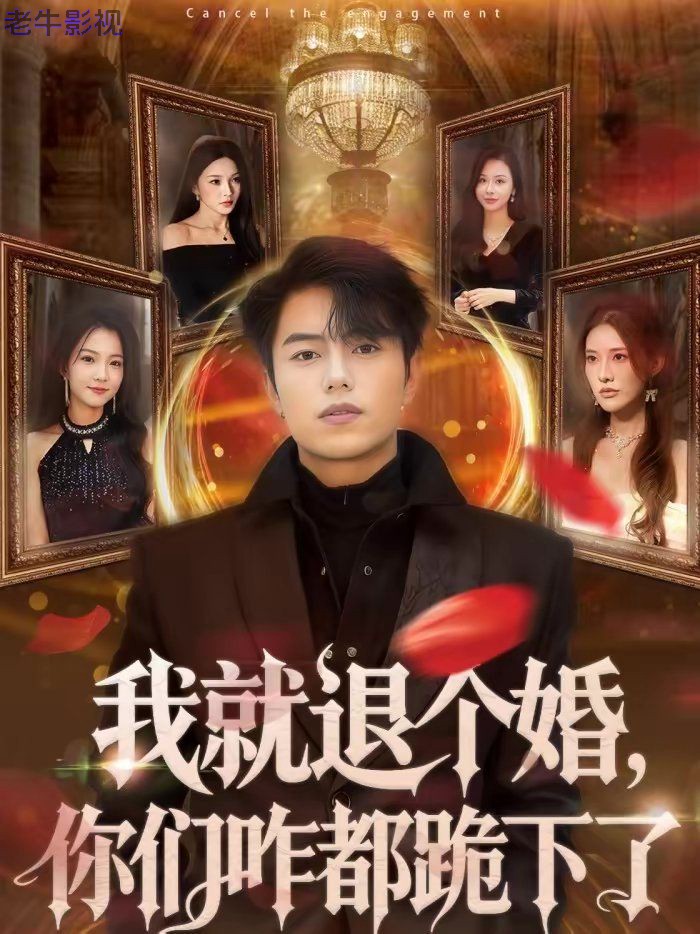 我就退个婚，你们咋都跪下了