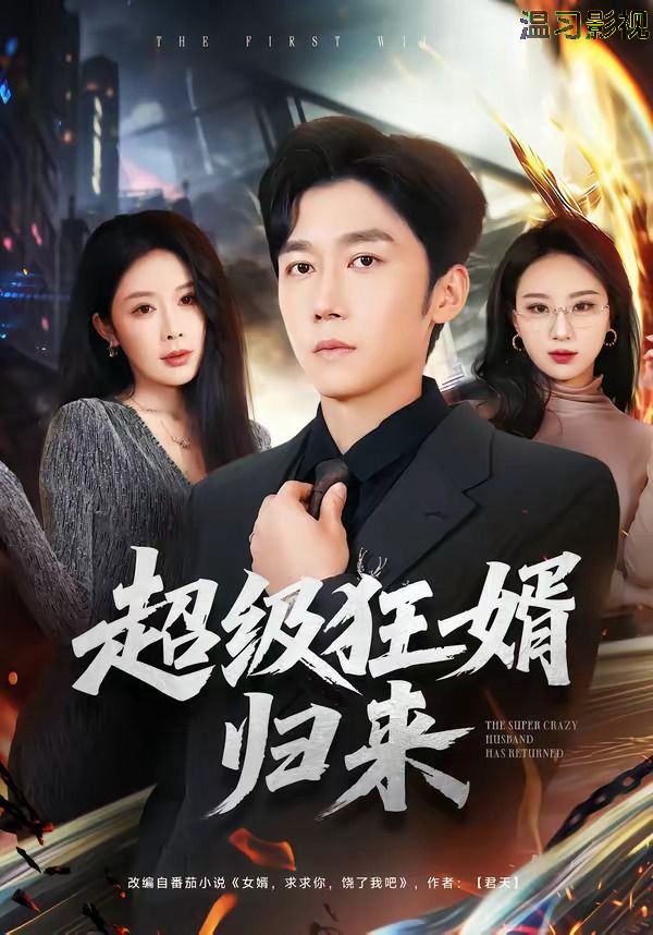 超级狂婿归来