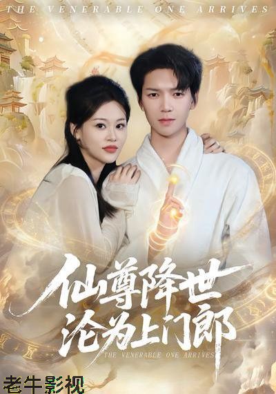 仙尊降世沦为上门郎