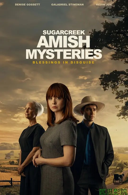 舒格克里克阿米什神秘事件：因祸得福