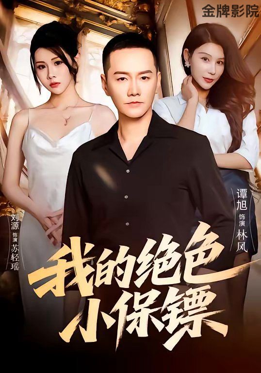 我的绝色小保镖